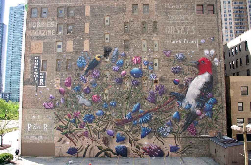 “From Doom to Boom” is an incredible new mural by artist Collin van der Sluijs that can be found on the 9-story wall of 1006 S Michigan Avenue in Chicago, Illinois, USA. The mural features a yellow-headed blackbird that was once common but has now disappeared from Chicago due to loss of habitat, pool land management and invasive species. The other is a red-headed woodpecker that is in need of conservation before it too disappears from Chicago. The mural is part of the Wabash Arts Corridor and van der Sluijs also has his debut US solo show, Luctor Et Emergo, from May 7–28, 2016 at the Vertical Gallery in Chicago.